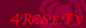 4ROSE.TV